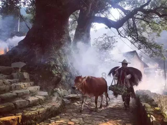 小猫钓鱼游戏龙王版有船