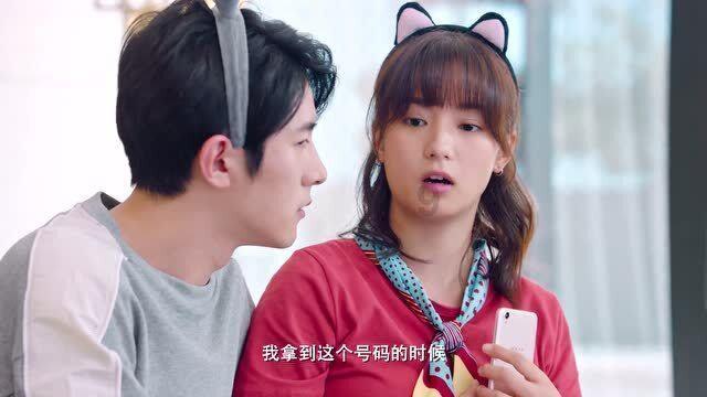 白孔雀救援