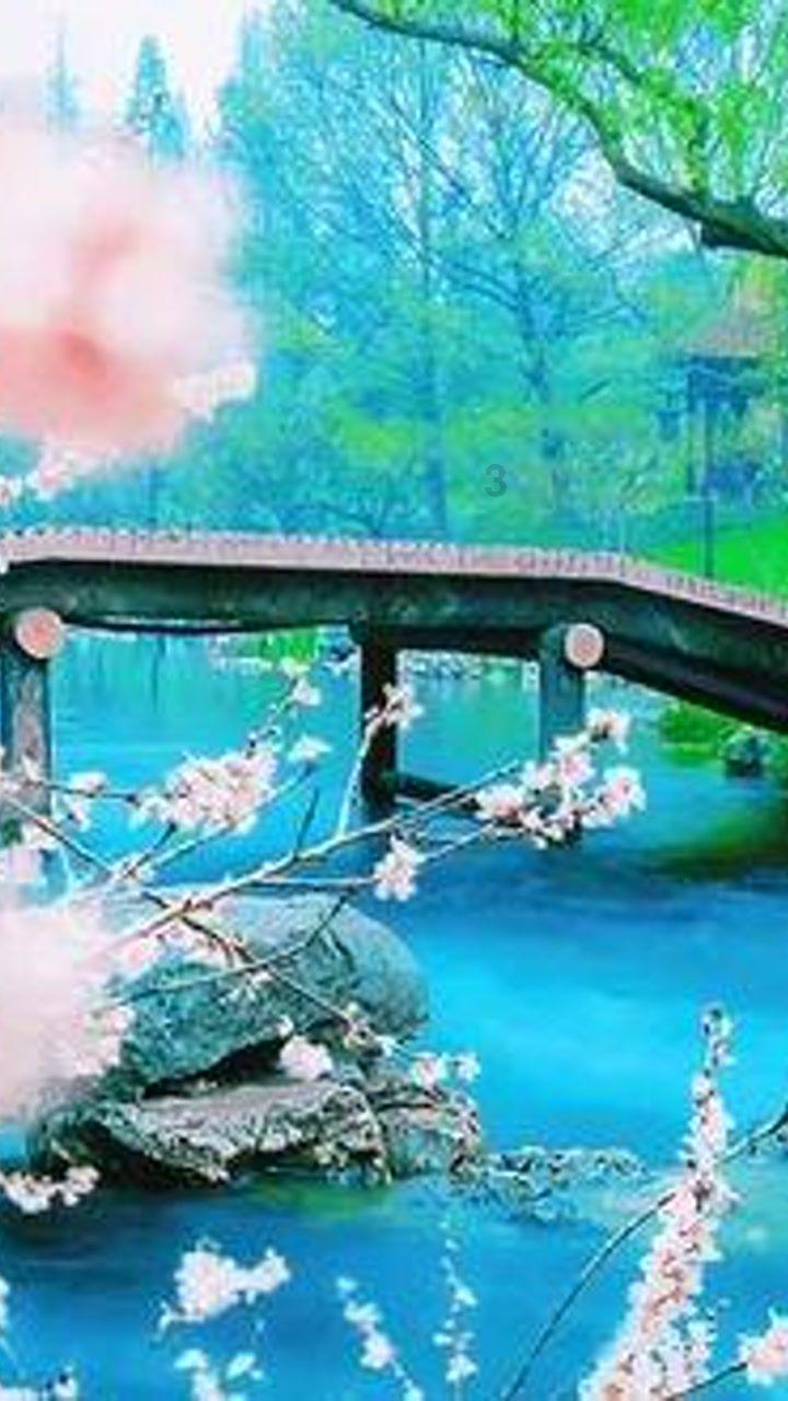 社区团购为什么会集体熄火？烧钱补贴的时代就这样结束了？游戏画面